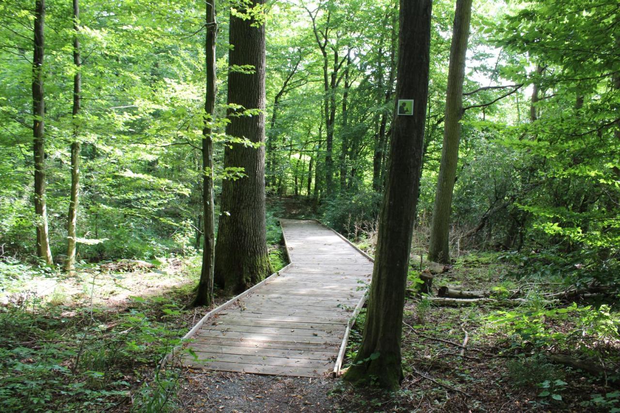 Ferienwohnung Forellenhof Oberschwarzach المظهر الخارجي الصورة
