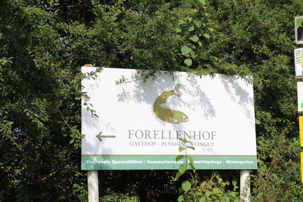Ferienwohnung Forellenhof Oberschwarzach المظهر الخارجي الصورة